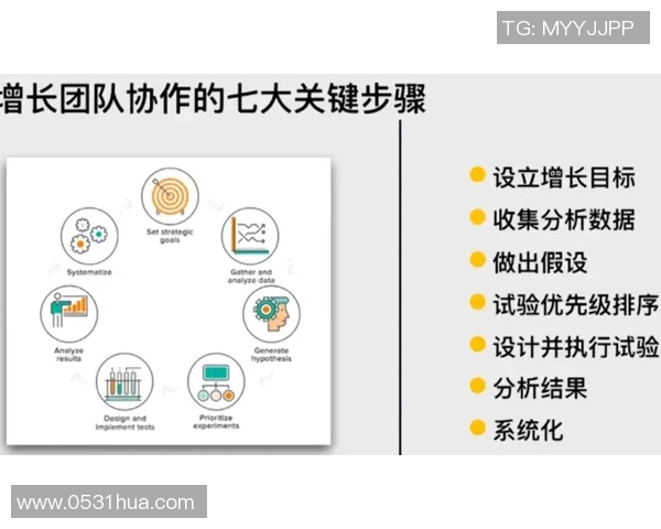 南京排球队战术创新与团队协作的深度解析与展望