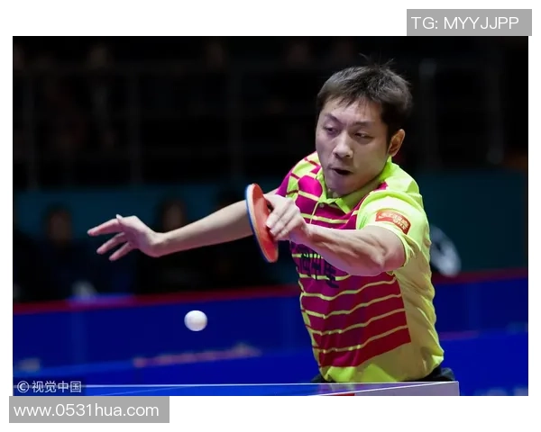 上海网球队以85分领跑世锦赛积分榜展现强劲实力