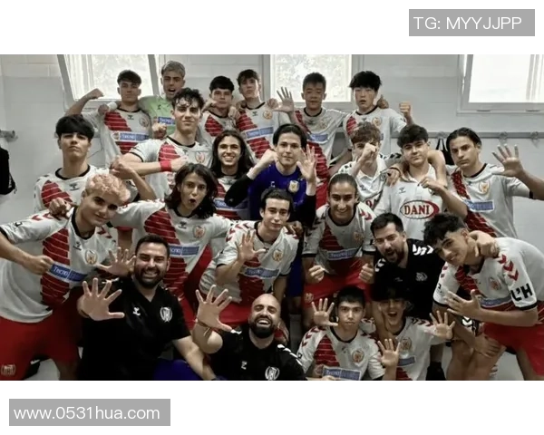 中国男足球明星在欧洲赛场的崛起与挑战分析