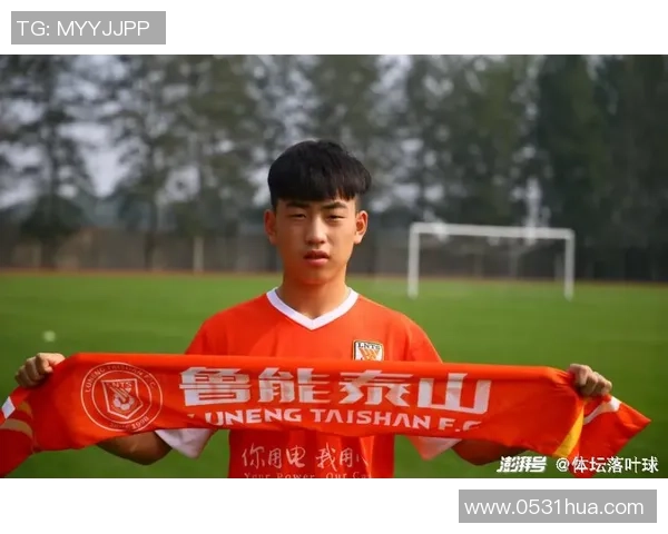 南京羽毛球队以61分稳居挑战赛积分榜首位展现强劲实力 南京羽毛球队以61分稳居挑战赛积分榜首位展现强劲实力