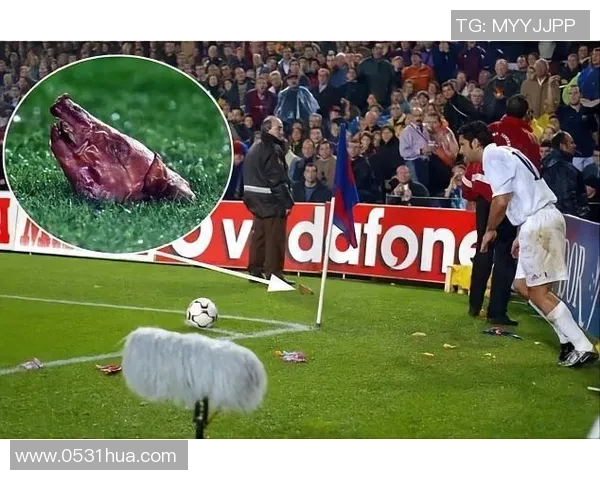 少林足球明星评论引发热议球迷热情与争议并存的背后故事 少林足球明星评论引发热议球迷热情与争议并存的背后故事