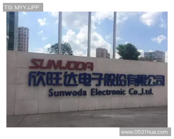 深圳足球队在耐力排行榜中荣登第五名引发热议