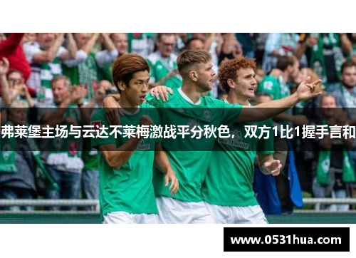 弗莱堡主场与云达不莱梅激战平分秋色，双方1比1握手言和